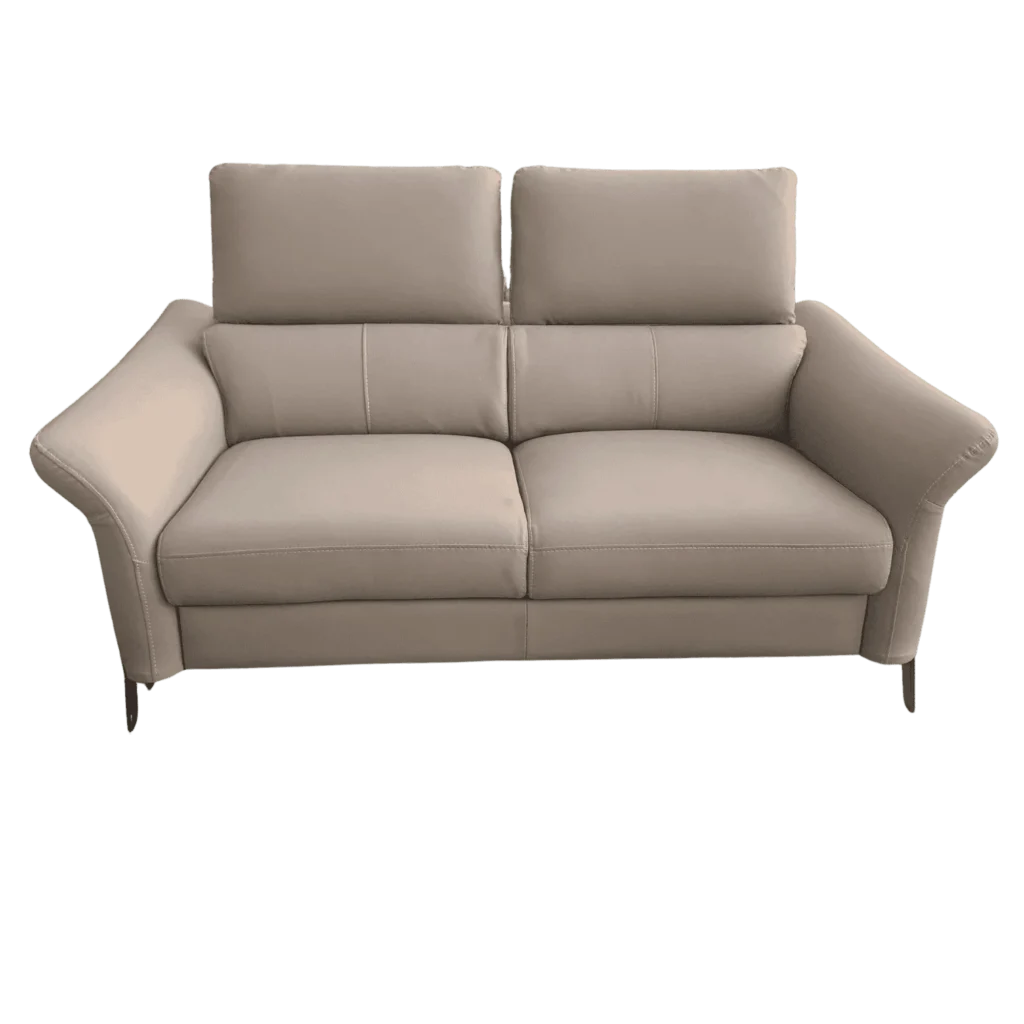 Headrest Adjustable Full Cover Sofa 2 Seater for modern and comfortable living room seating