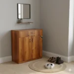 Closed 2 door 1 drawer particle board shoe stand for home entryway storage