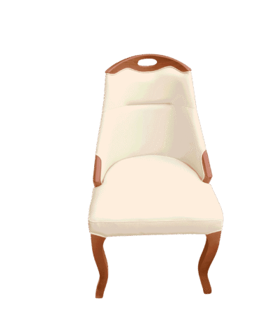 Swan Curve Dining Chair